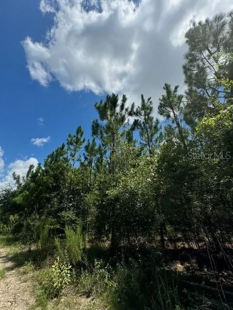 SW COLES COURT Fort White, FL 32038