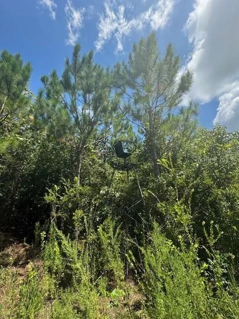 SW COLES COURT Fort White, FL 32038