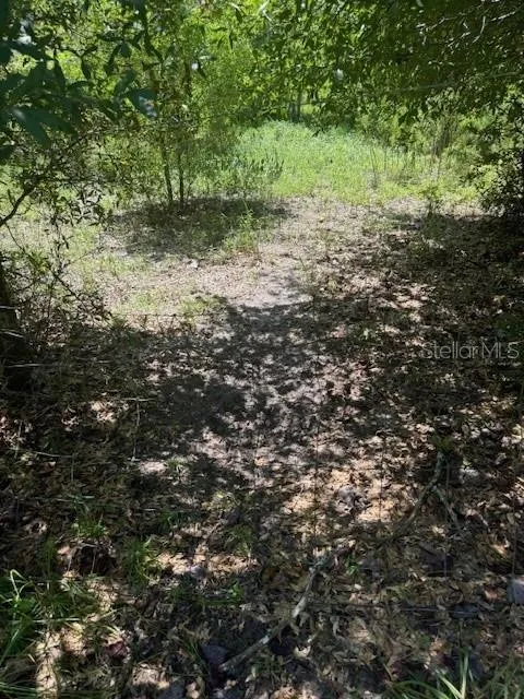 SW COLES COURT Fort White, FL 32038