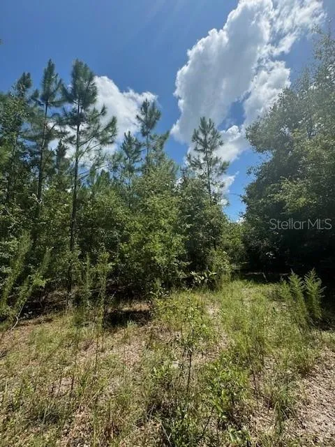 SW COLES COURT Fort White, FL 32038
