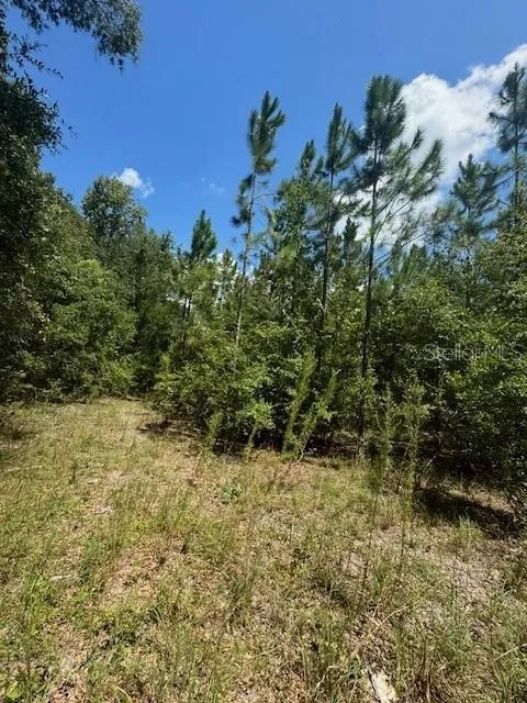 SW COLES COURT Fort White, FL 32038
