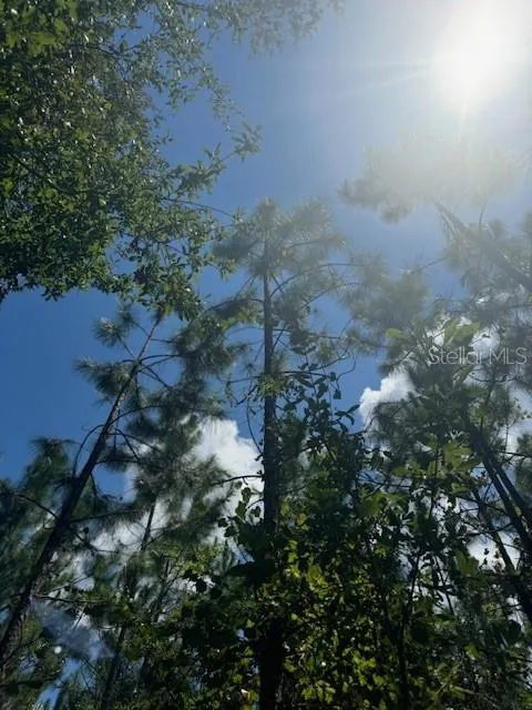 SW COLES COURT Fort White, FL 32038