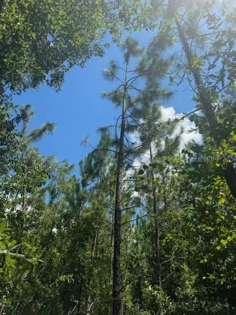 SW COLES COURT Fort White, FL 32038