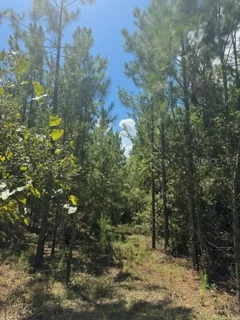 SW COLES COURT Fort White, FL 32038