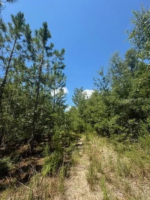 SW COLES COURT Fort White, FL 32038