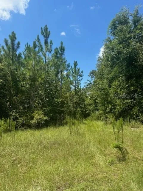 SW COLES COURT Fort White, FL 32038
