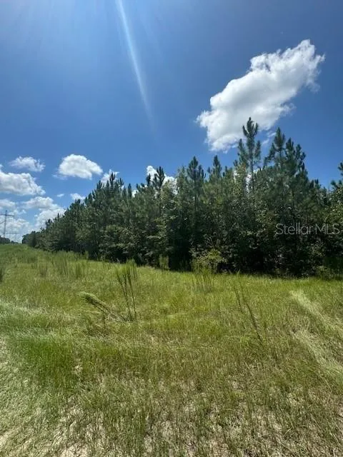 SW COLES COURT Fort White, FL 32038