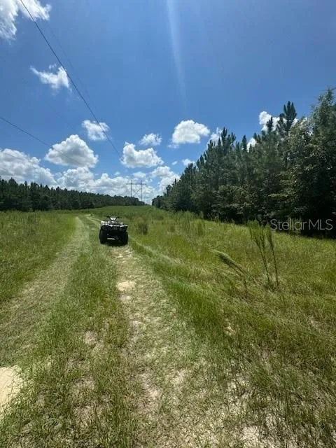 SW COLES COURT Fort White, FL 32038