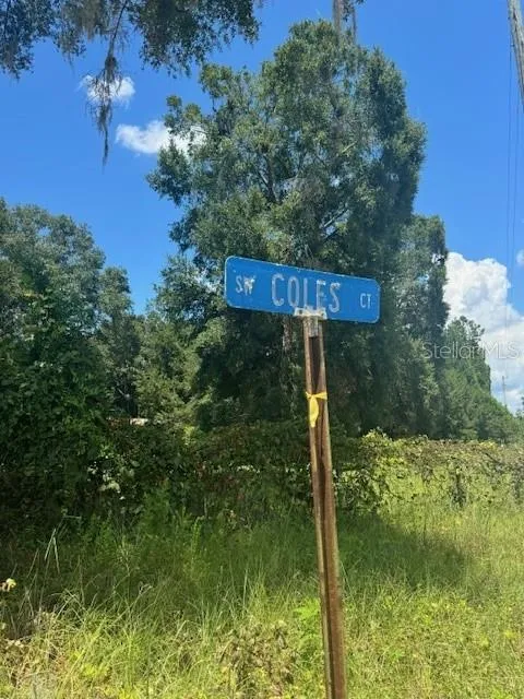 SW COLES COURT Fort White, FL 32038