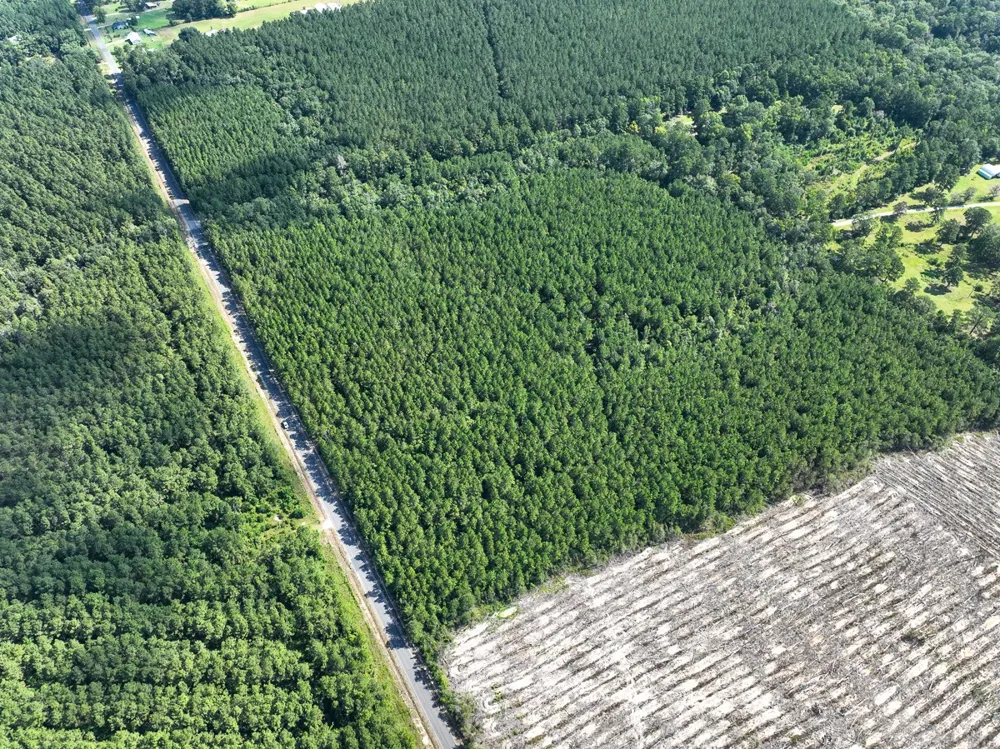 1 State Road 3205 Oberlin, LA 71463