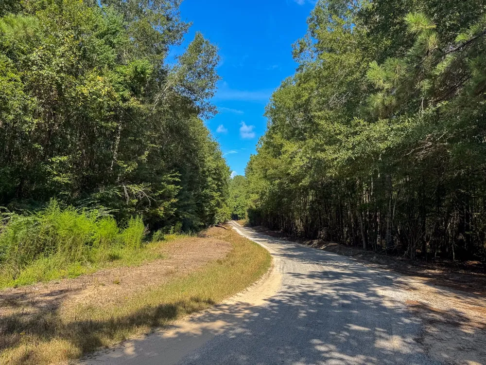1 State Road 3205 Oberlin, LA 71463