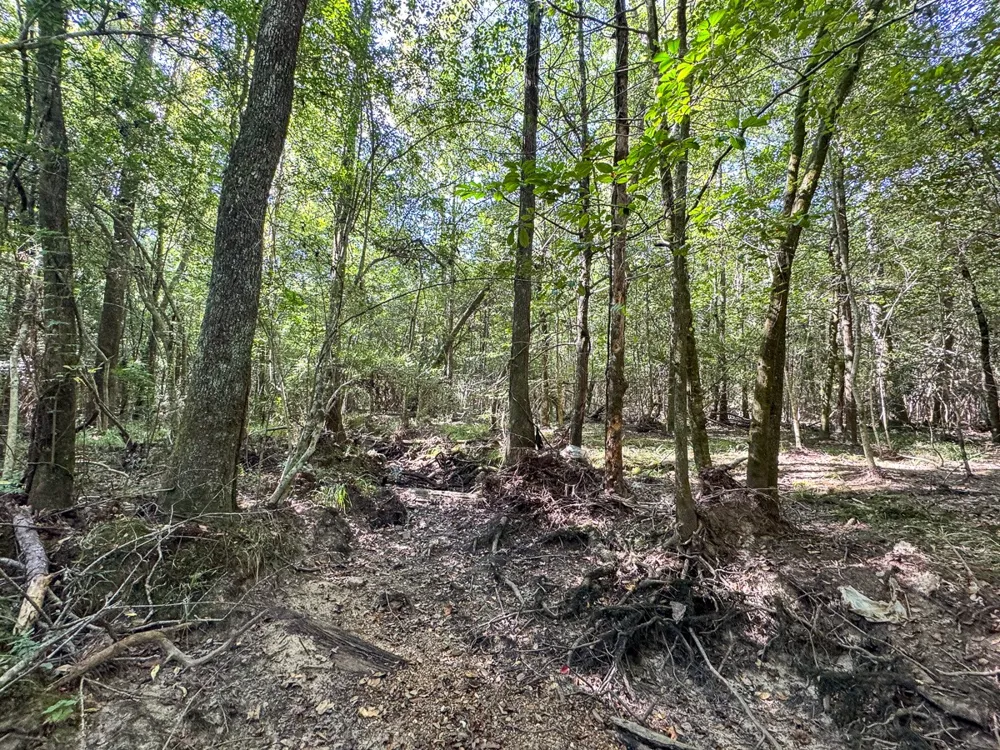 1 State Road 3205 Oberlin, LA 71463