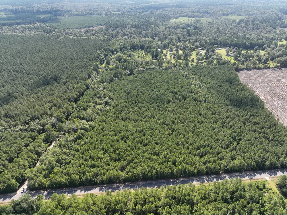 2 State Road 3205 Oberlin, LA 71463