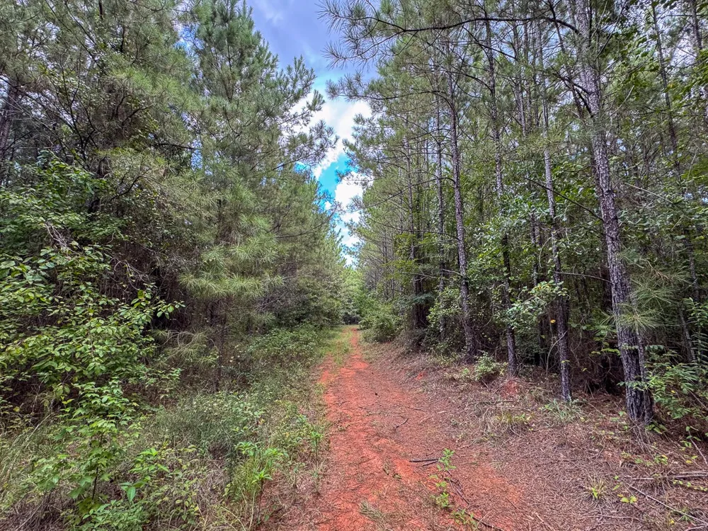 Provencal Vowell Mills Rd Natchitoches, LA 71468
