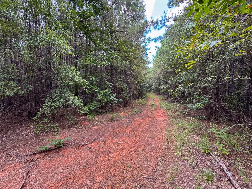 Provencal Vowell Mills Rd Natchitoches, LA 71468
