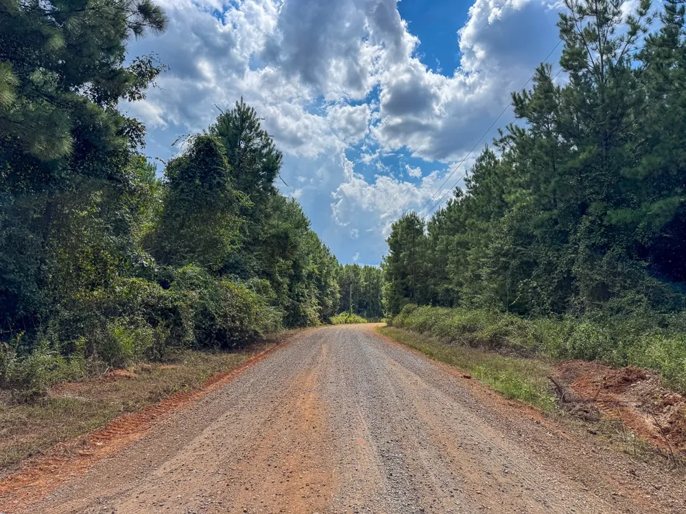 Provencal Vowell Mills Rd Natchitoches, LA 71468