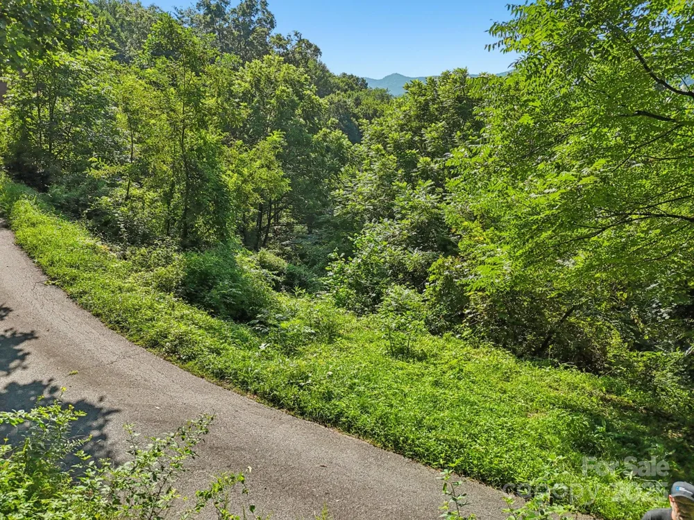 50 Slim Ridge Maggie Valley, NC 28751