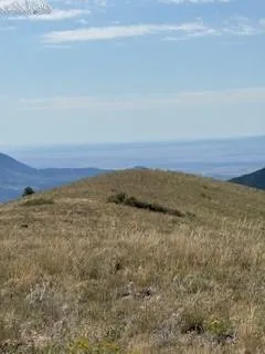 87A Flat Top Drive