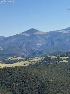 87A Flat Top Drive Canon City, CO 81212