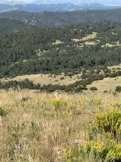 87A Flat Top Drive Canon City, CO 81212