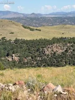 87A Flat Top Drive Canon City, CO 81212