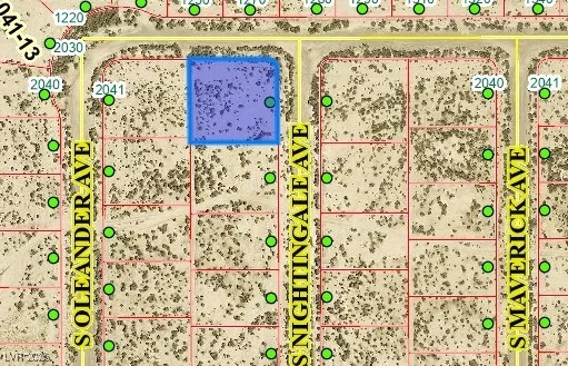 2050 S Nightingale Avenue Pahrump, NV 89048