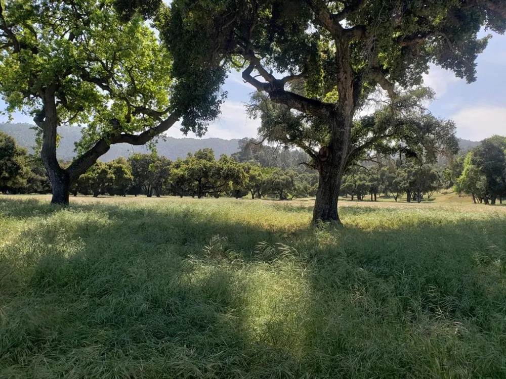 770 Limekiln Road Hollister, CA 95023