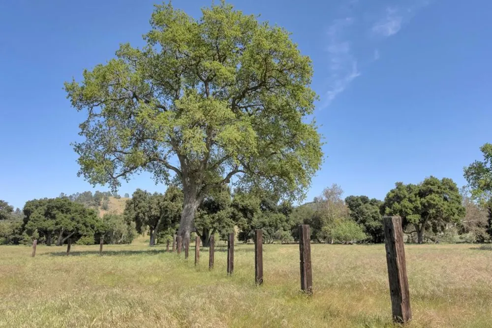 770 Limekiln Road Hollister, CA 95023