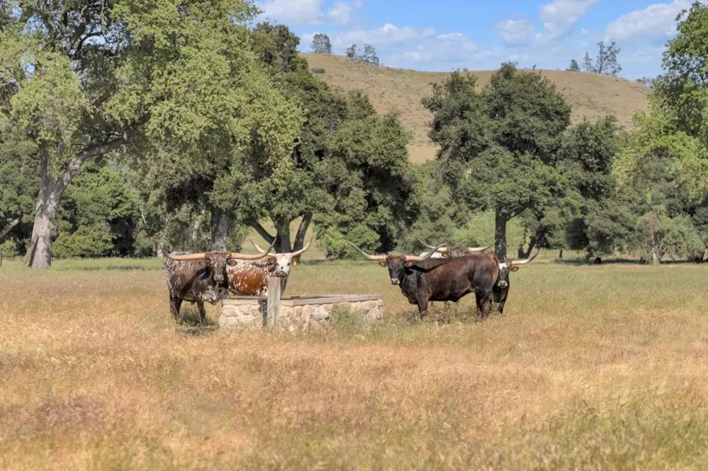 770 Limekiln Road Hollister, CA 95023