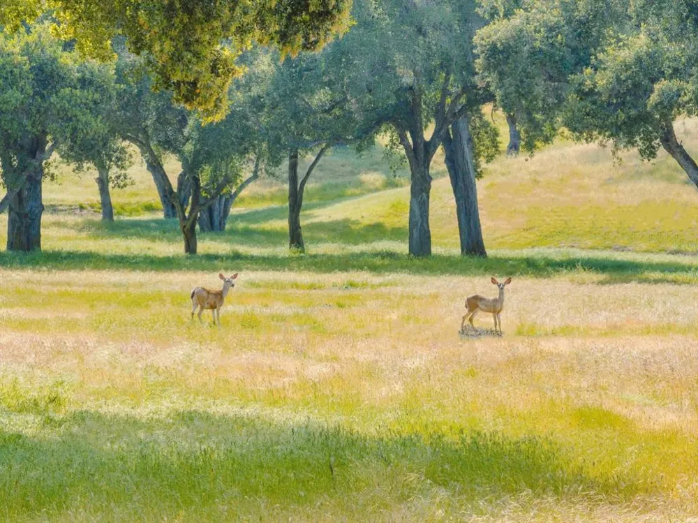 770 Limekiln Road Hollister, CA 95023