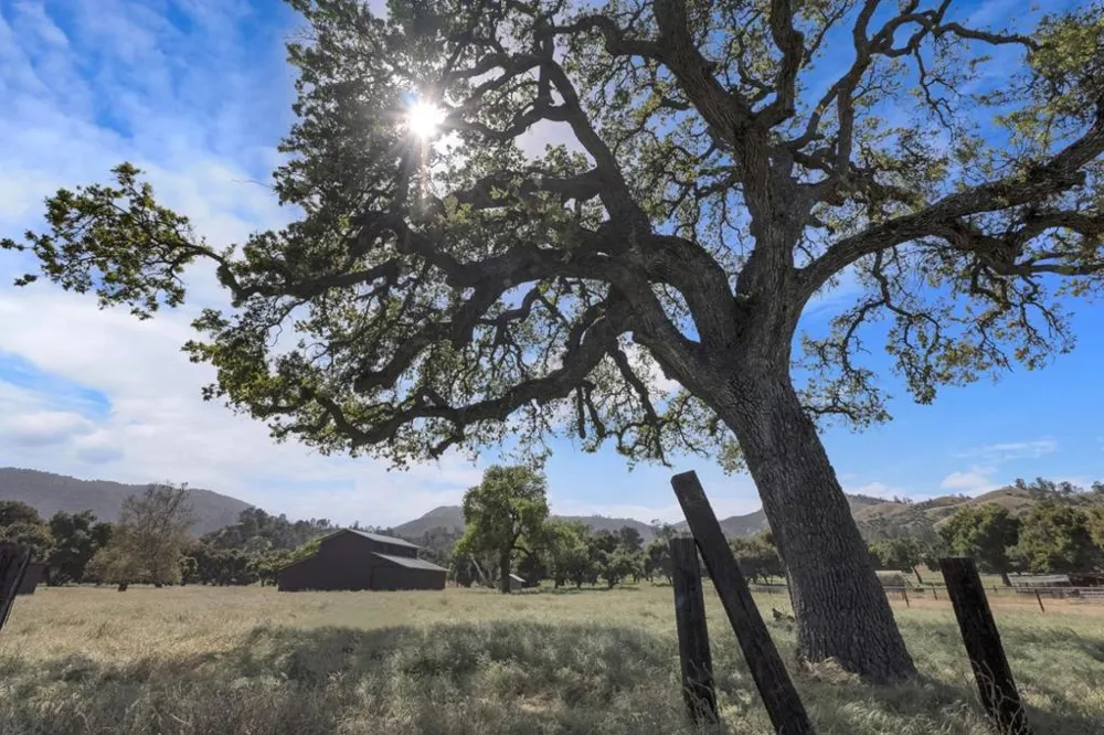 770 Limekiln Road Hollister, CA 95023
