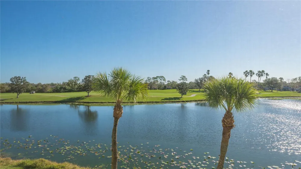 5241 MAHOGANY RUN AVENUE #425 Sarasota, FL 34241