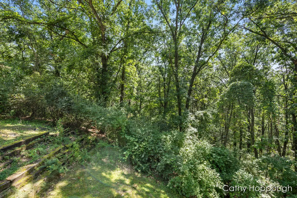 735 Prairie Creek Road Ionia, MI 48846