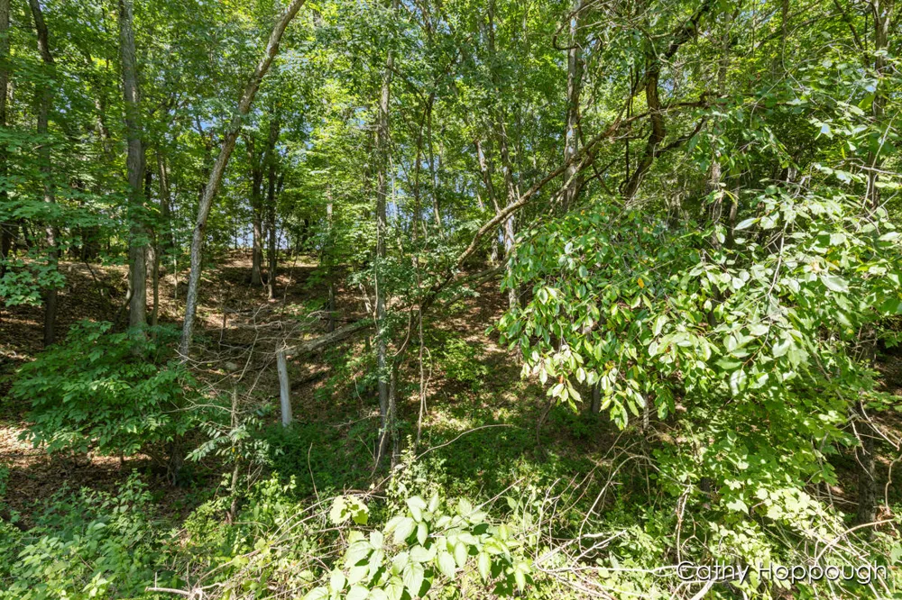 735 Prairie Creek Road Ionia, MI 48846
