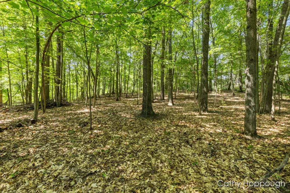 735 Prairie Creek Road Ionia, MI 48846
