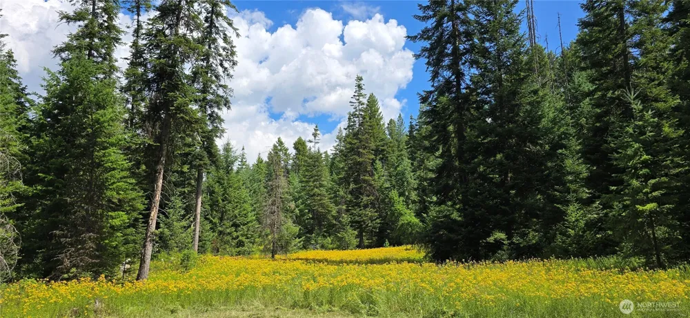 1733 Old CC Road Addy, WA 99101