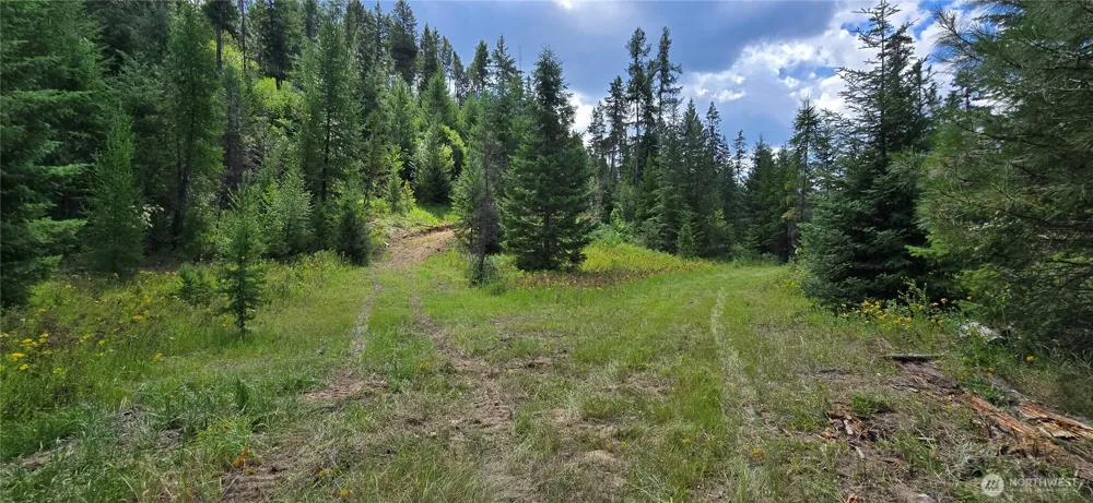 1733 Old CC Road Addy, WA 99101