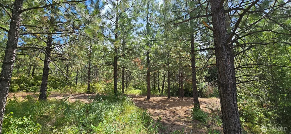 1733 Old CC Road Addy, WA 99101