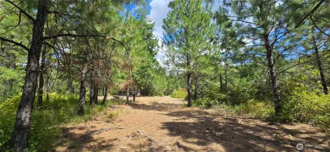 1733 Old CC Road