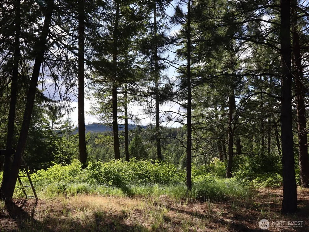 1733 Old CC Road Addy, WA 99101