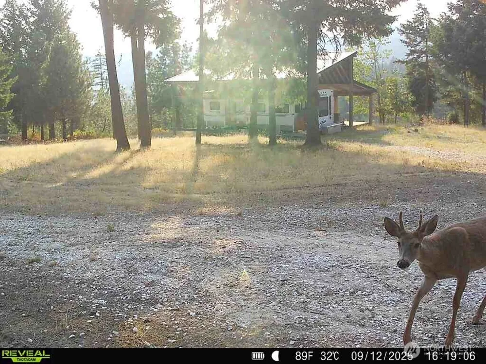 1733 Old CC Road Addy, WA 99101