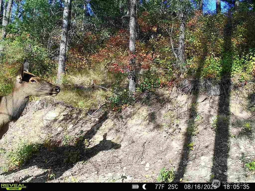 1733 Old CC Road Addy, WA 99101