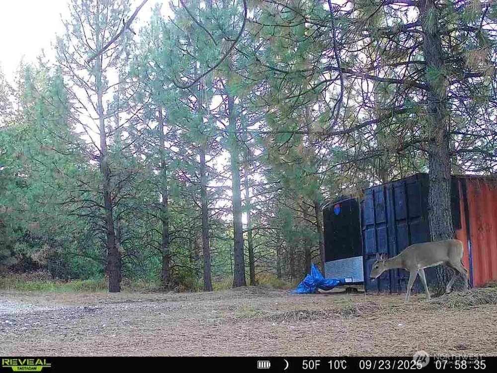 1733 Old CC Road Addy, WA 99101