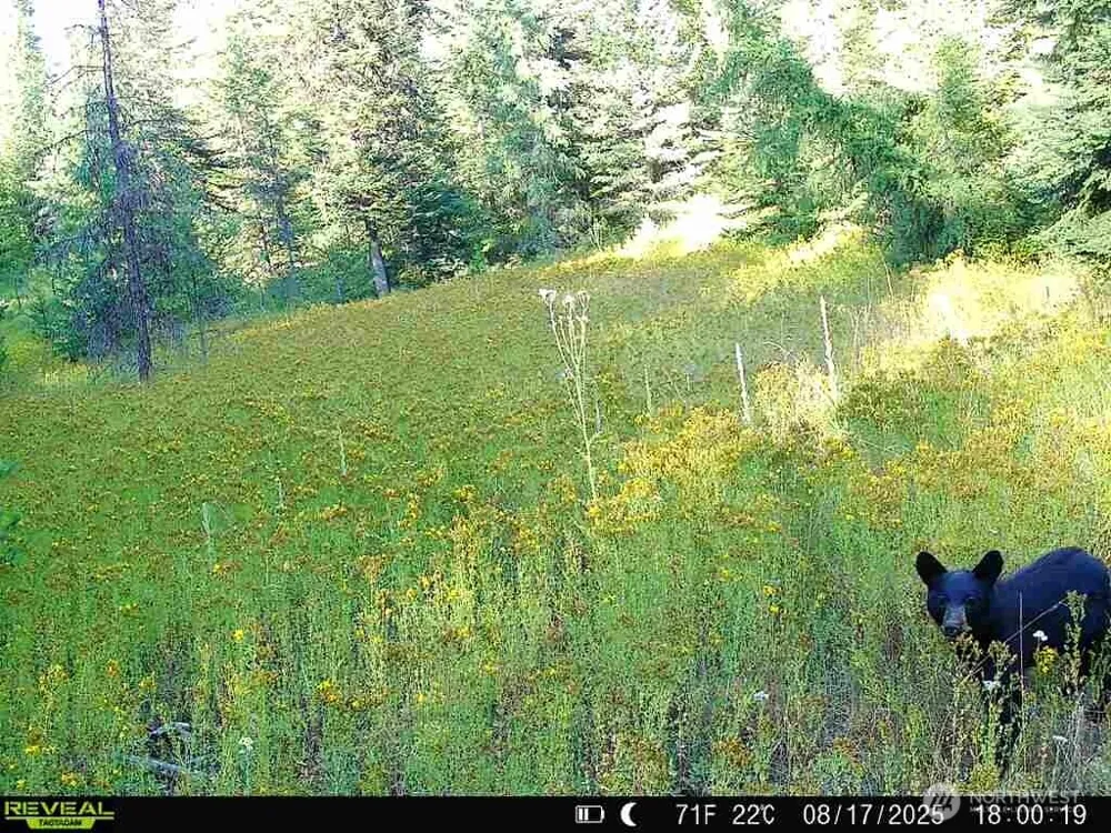 1733 Old CC Road Addy, WA 99101