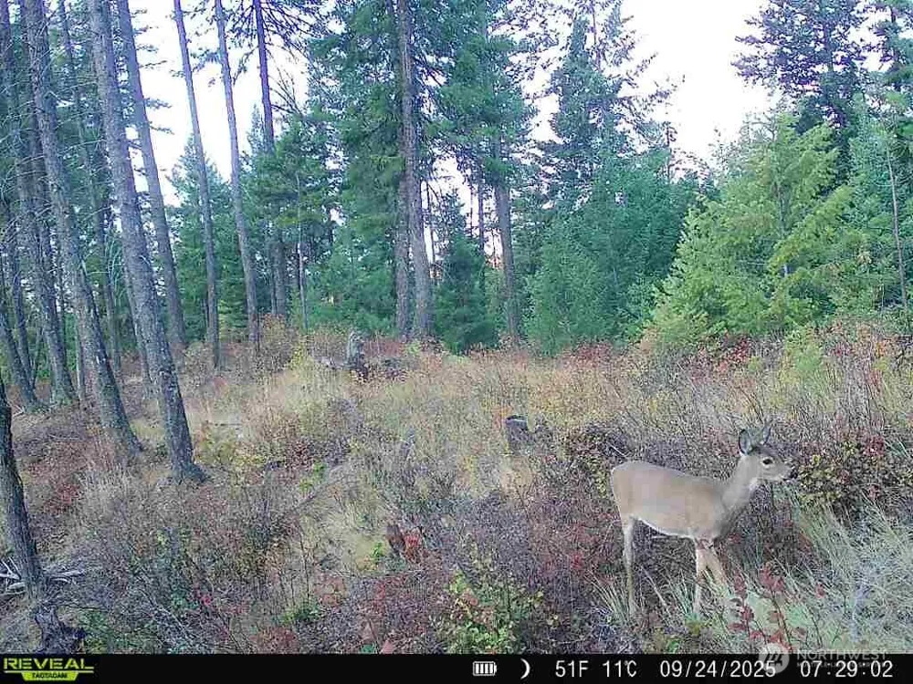 1733 Old CC Road Addy, WA 99101