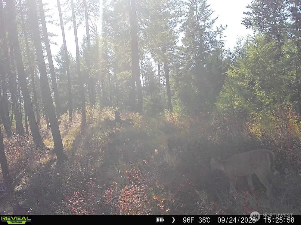 1733 Old CC Road Addy, WA 99101