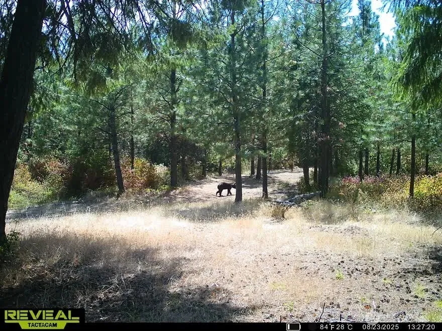 1733 Old CC Road Addy, WA 99101