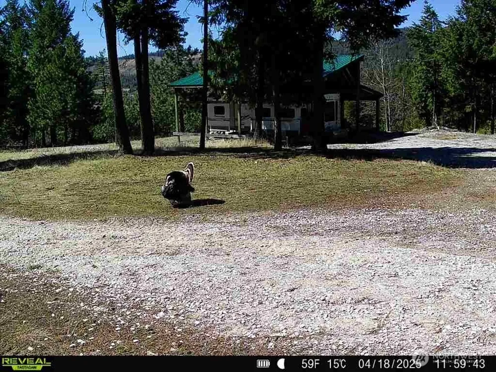 1733 Old CC Road Addy, WA 99101