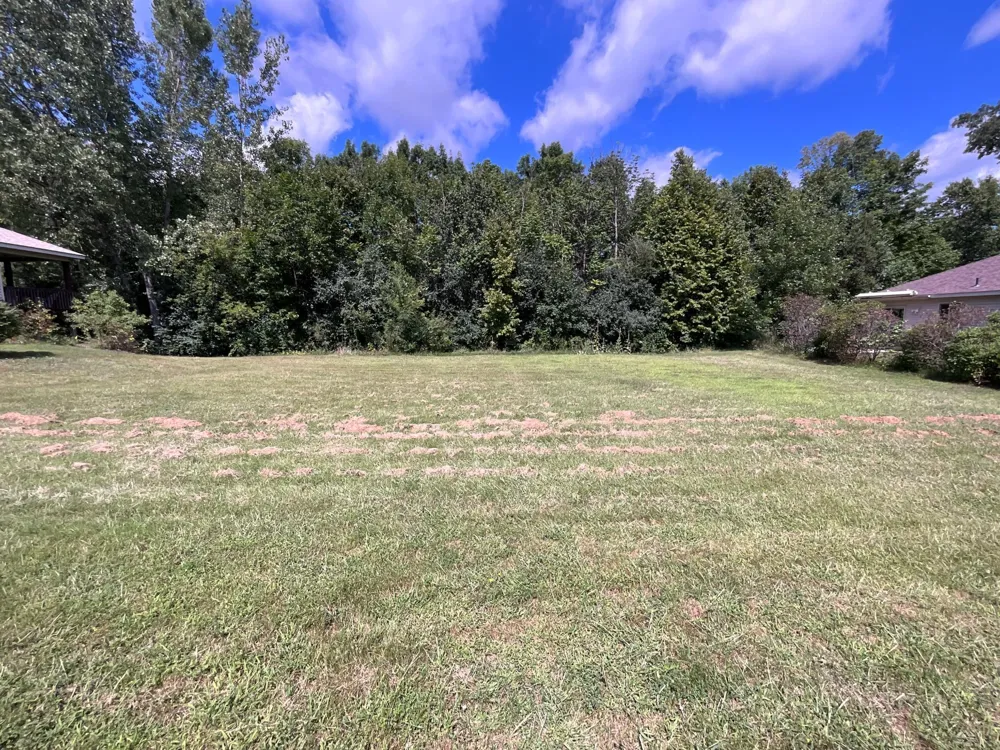 1703 Dale Street Saint Joseph, MN 56374