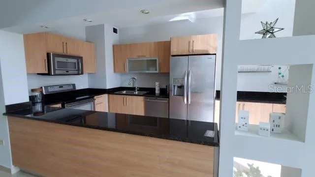 177 PR-2 #PH-3 Guaynabo, PR 00966